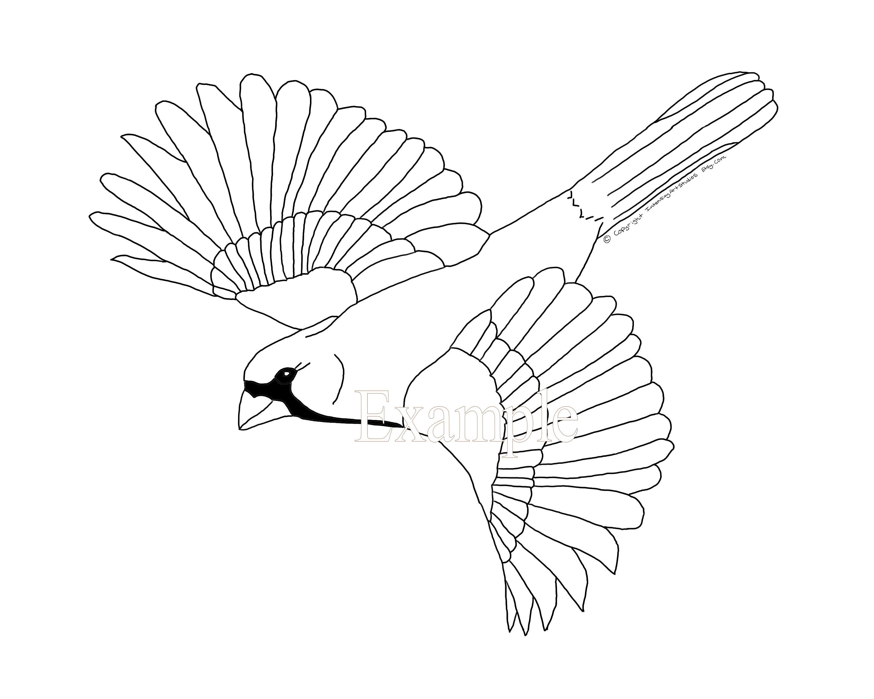 Cardinal in flight coloring page digital artwork for instant download