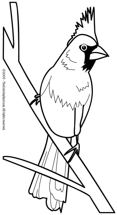 Cardinal coloring page audio stories for kids free coloring pages colouring printables