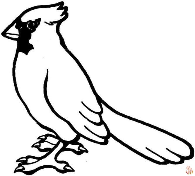 Charming cardinal coloring pages experience natures beauty at