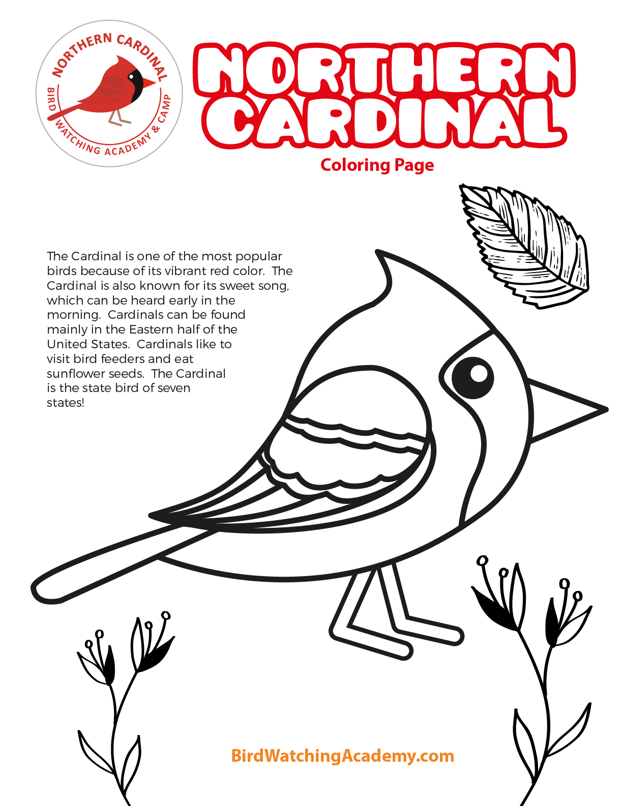 Northern cardinal coloring page