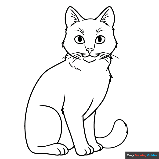 Realistic cat coloring page easy drawing guides