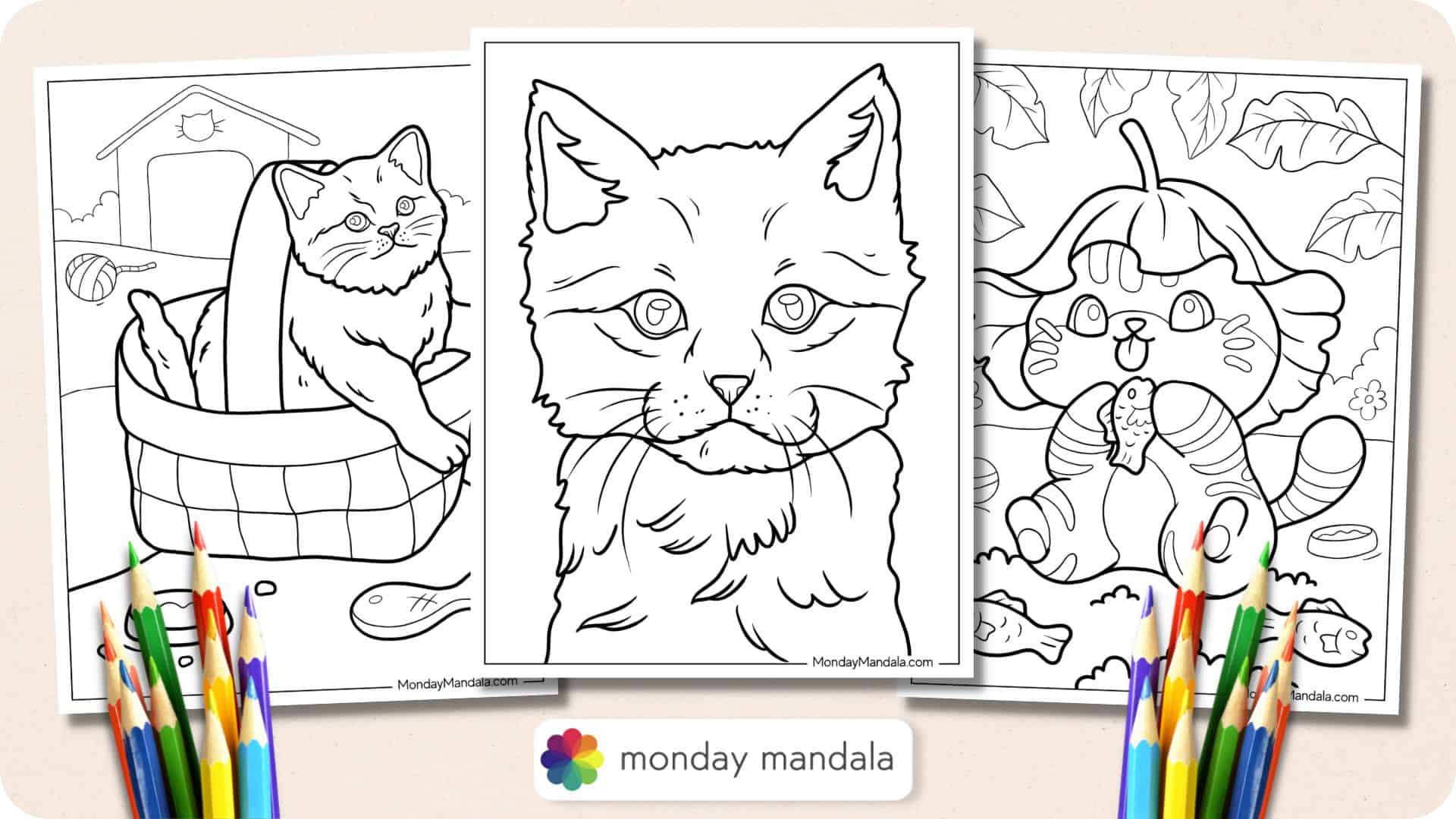 Kitten coloring pages free pdf printables