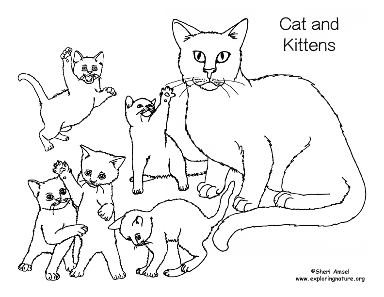 Cat and kittens coloring page