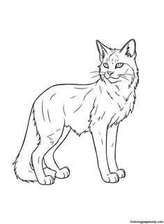 Warrior cats coloring pages ideas cat coloring page warrior cats world of warriors