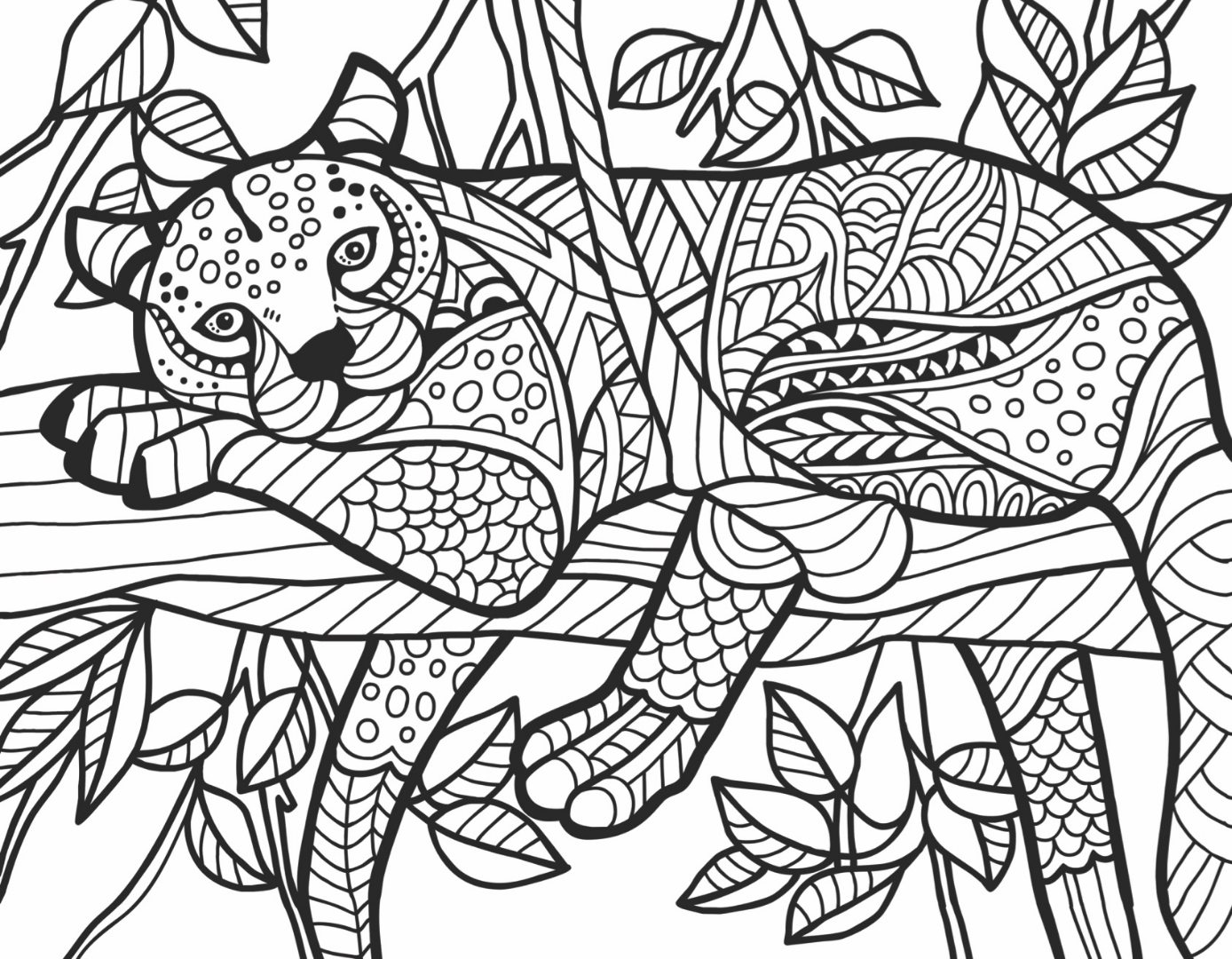 Freebie friday cheetah coloring page