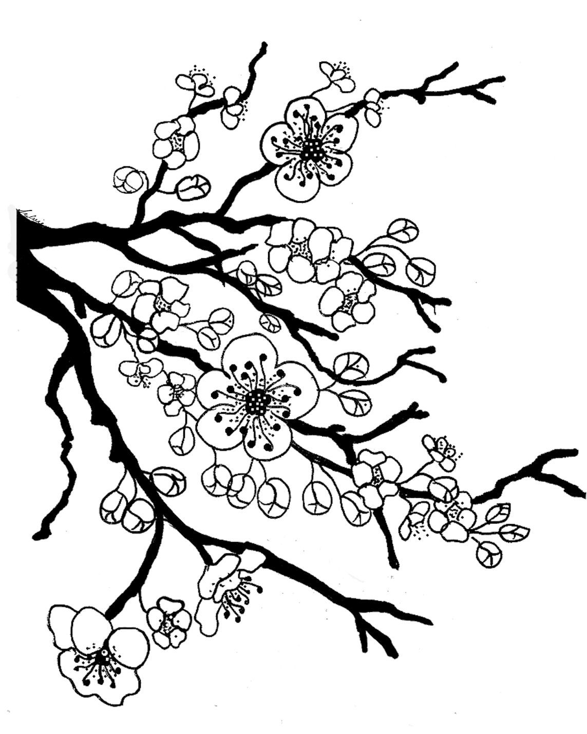 Beautiful cherry blossom coloring pages