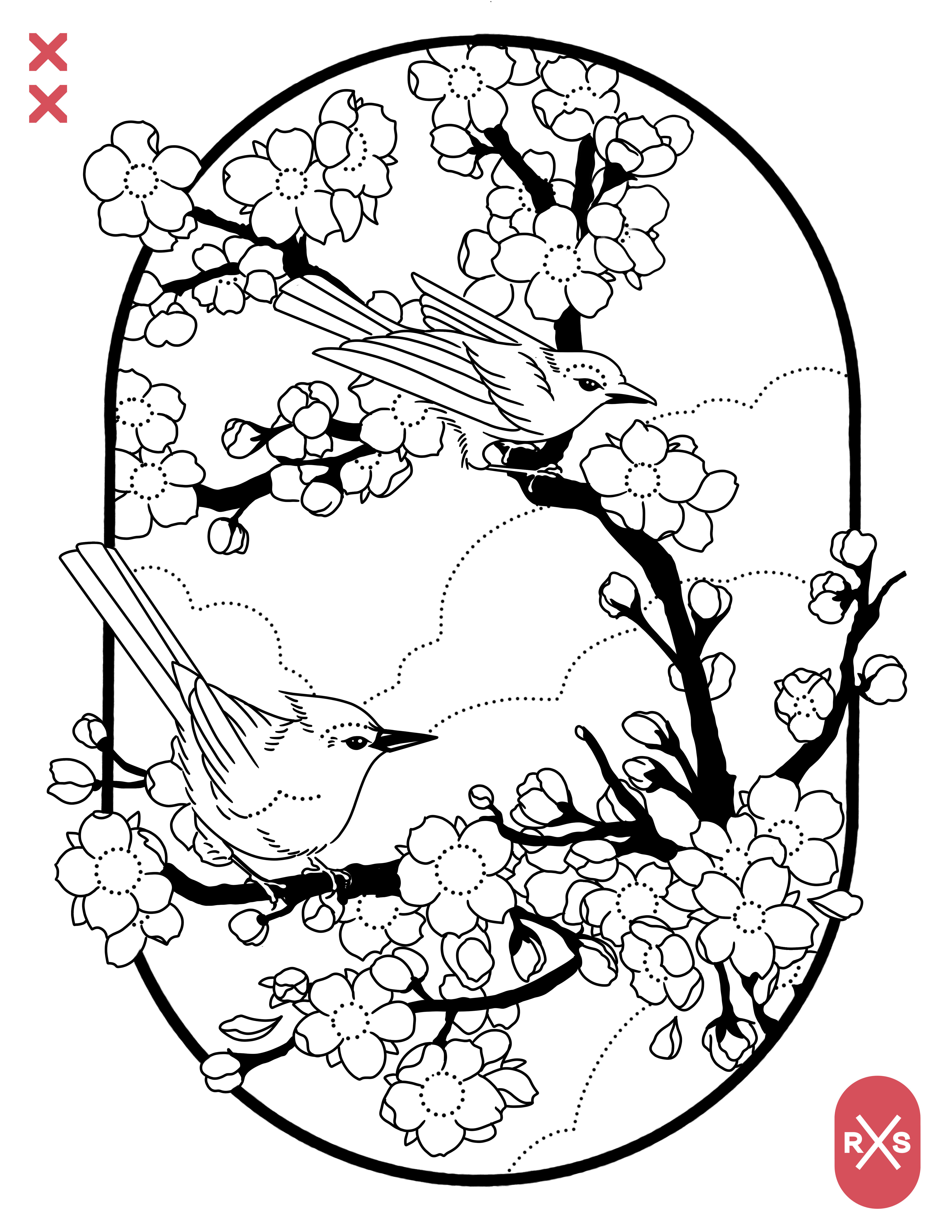 Colouring pages cherry blossoms â rxs