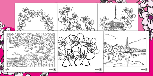 Cherry blossom coloring sheets teacher made