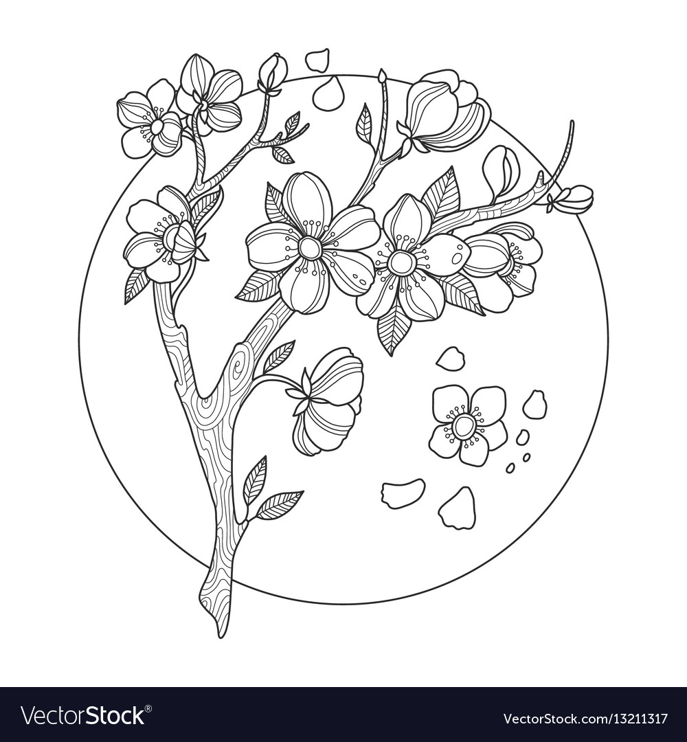 Cherry blossom coloring book royalty free vector image