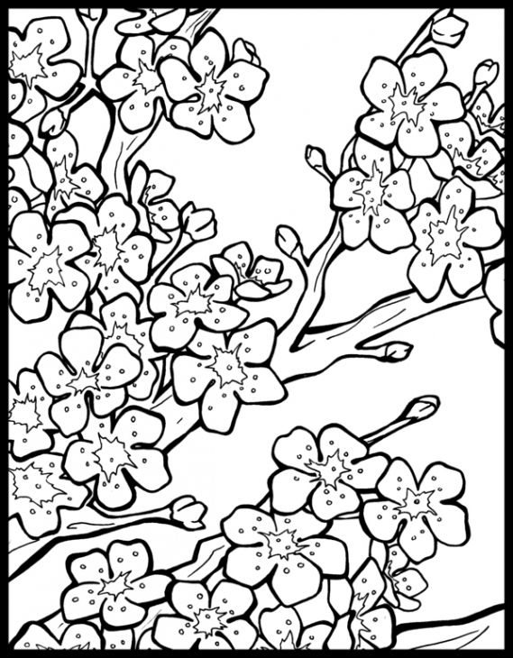 Free cherry blossom coloring page to print out