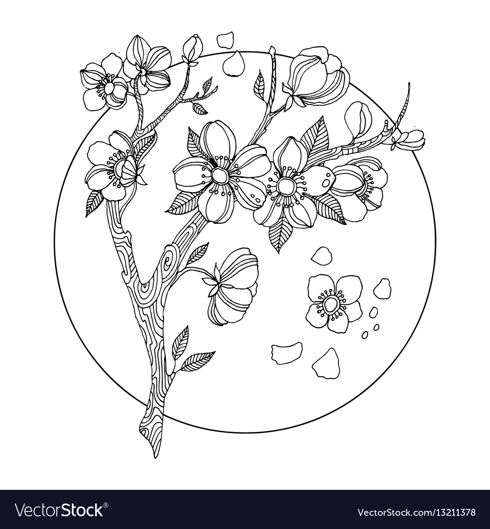 Cherry blossom coloring book royalty free vector image