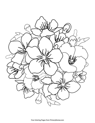 Cherry blossoms coloring page â free printable pdf from