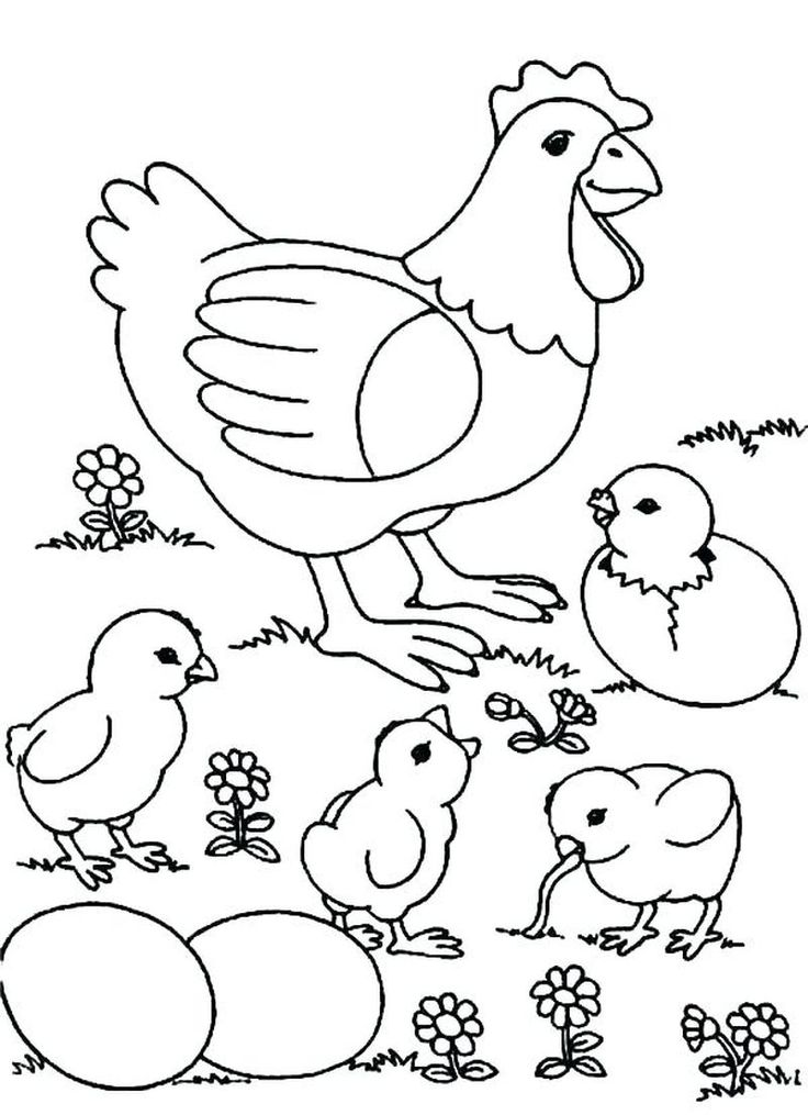 Cute chicken coloring pages pdf for children