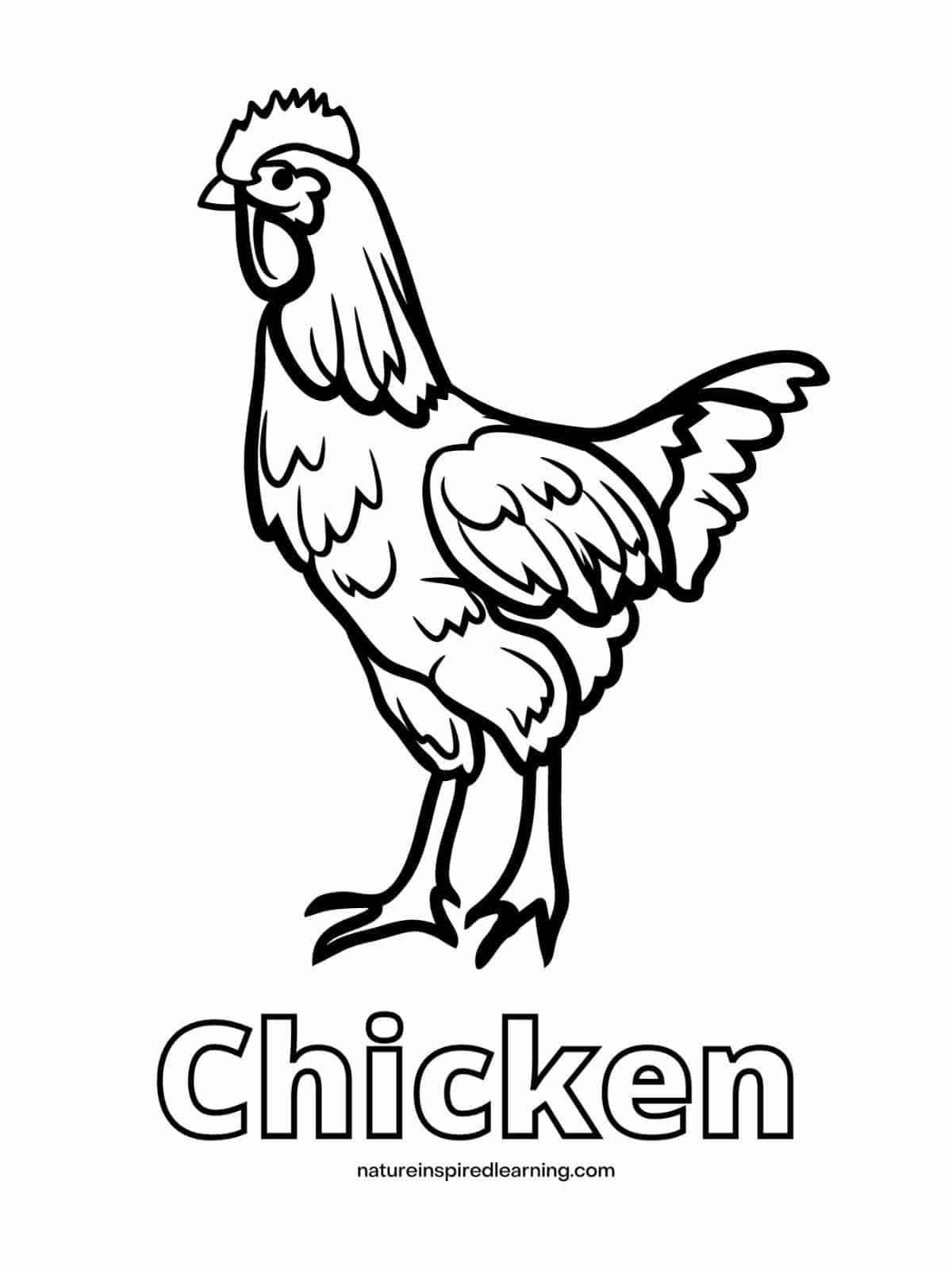 Adorable chicken coloring pages