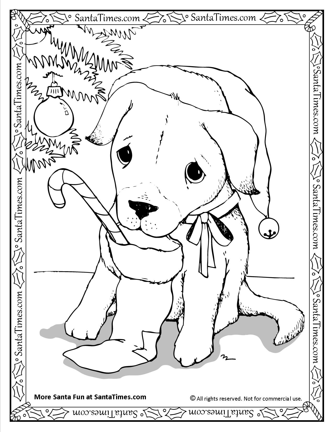 Santa puppy coloring page
