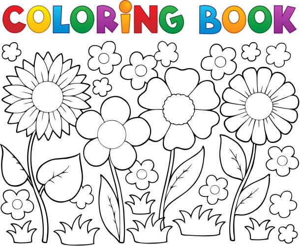 Flower coloring pages stock illustrations royalty