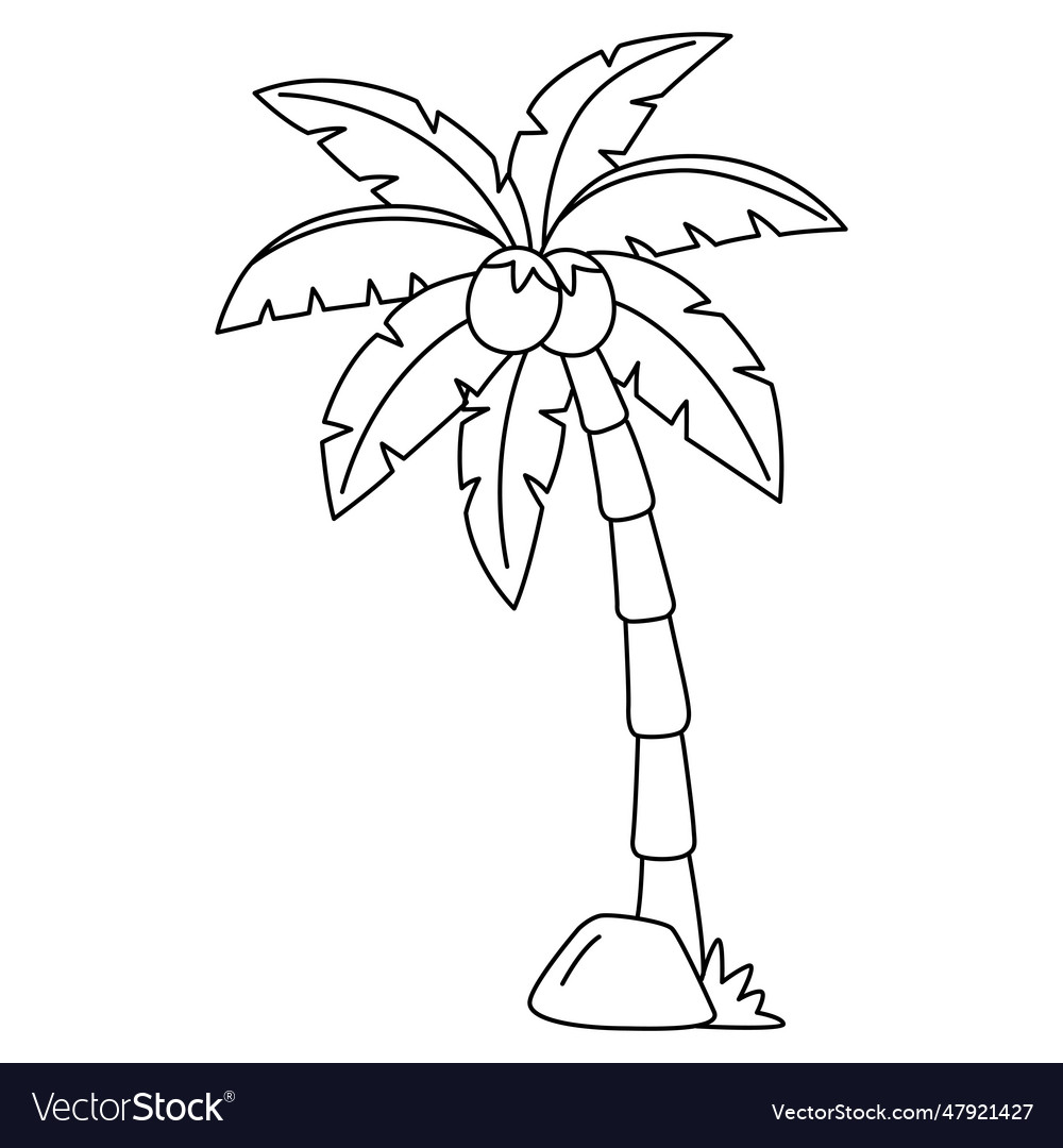 Coconut tree isolated coloring page for kids vector image