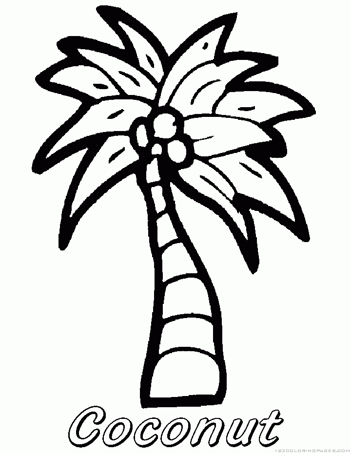 Coconut coloring pages