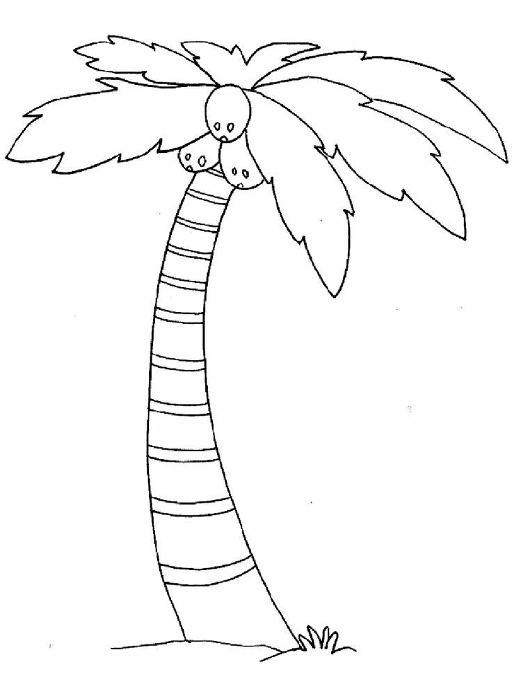 Coconut tree coloring pages tree coloring page leaf coloring page coloring pages