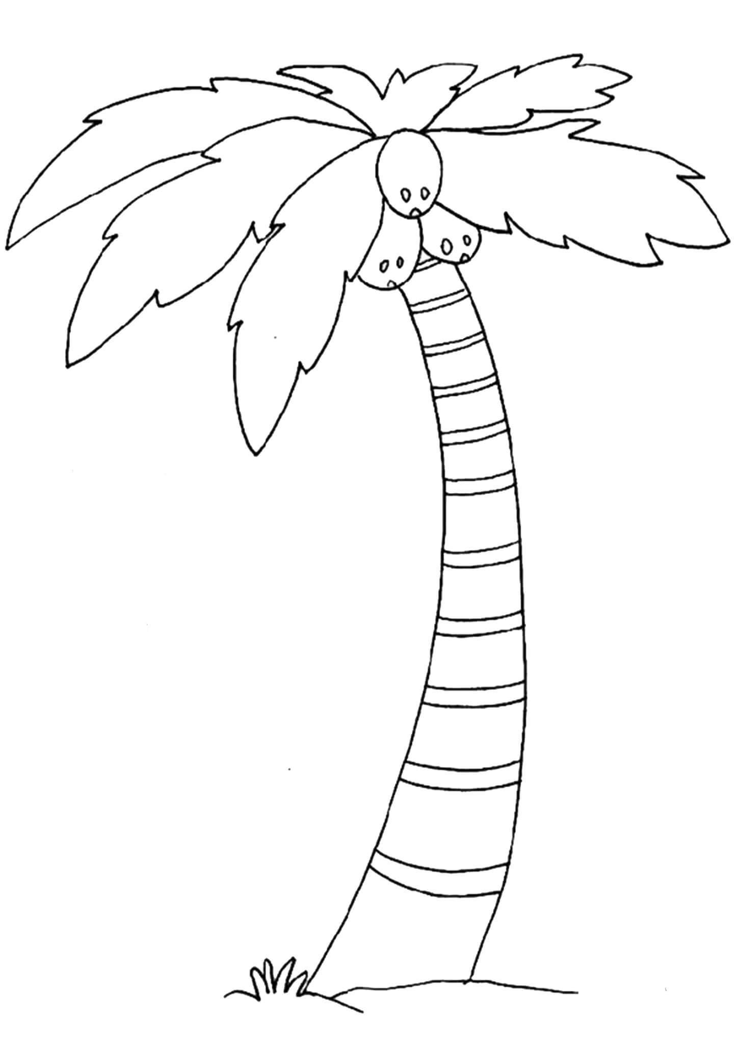 Free easy to print tree coloring pages tree coloring page coloring pages palm tree pictures