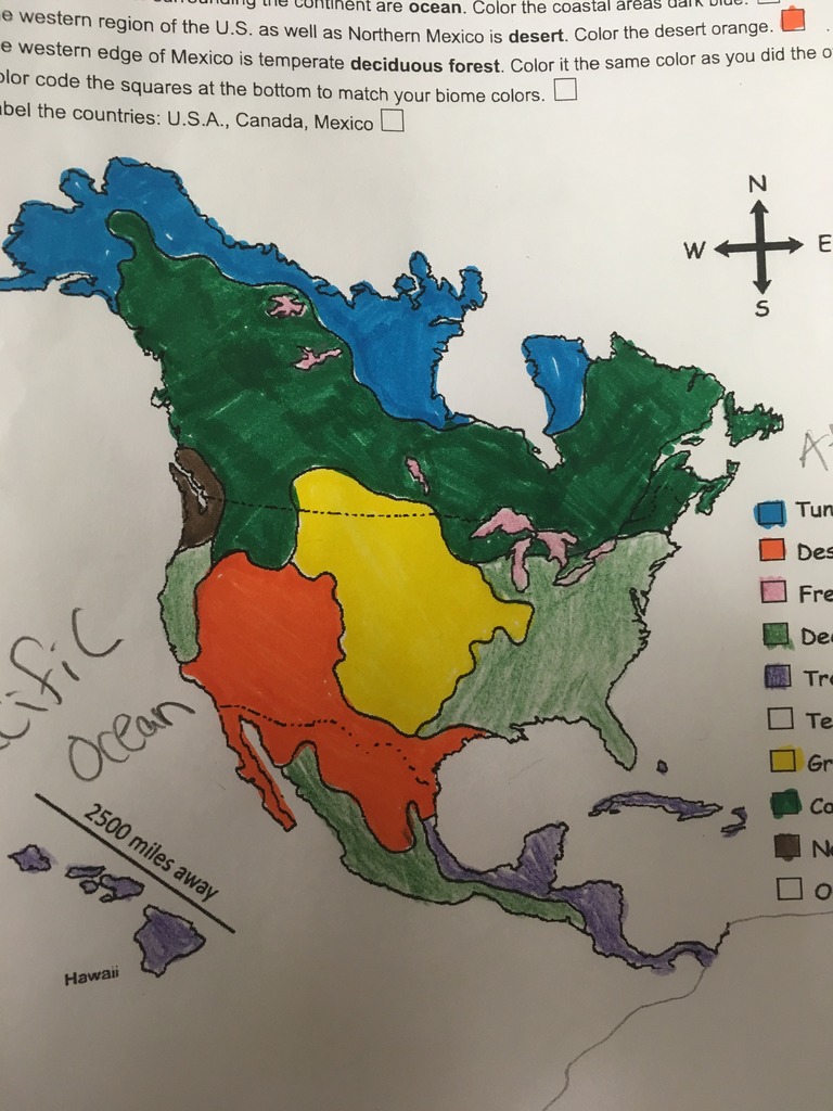 Biomes in the western hemisphere diagram