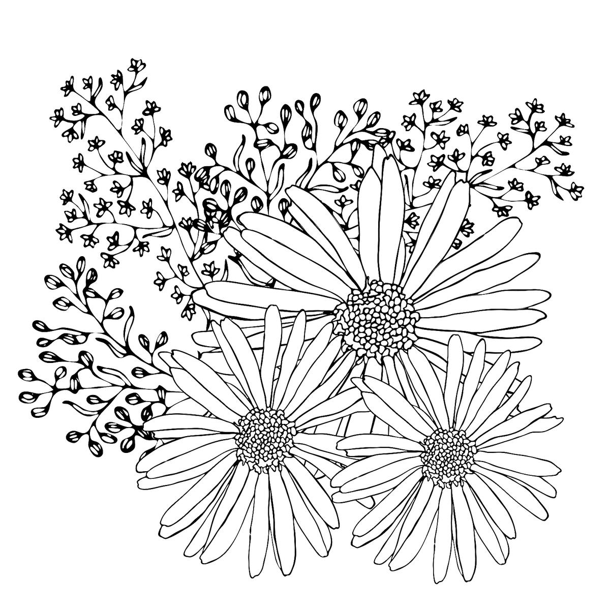 Spring flowers coloring pages free printable coloring pages of flowers for adults kids printables mom