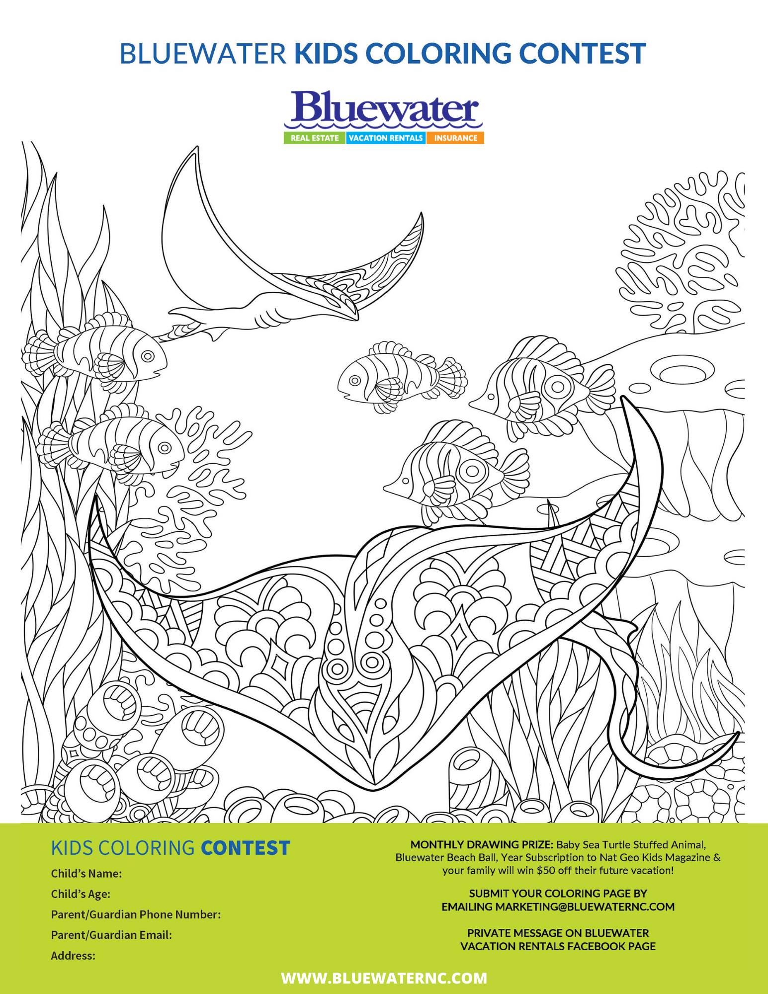 Coloring contest