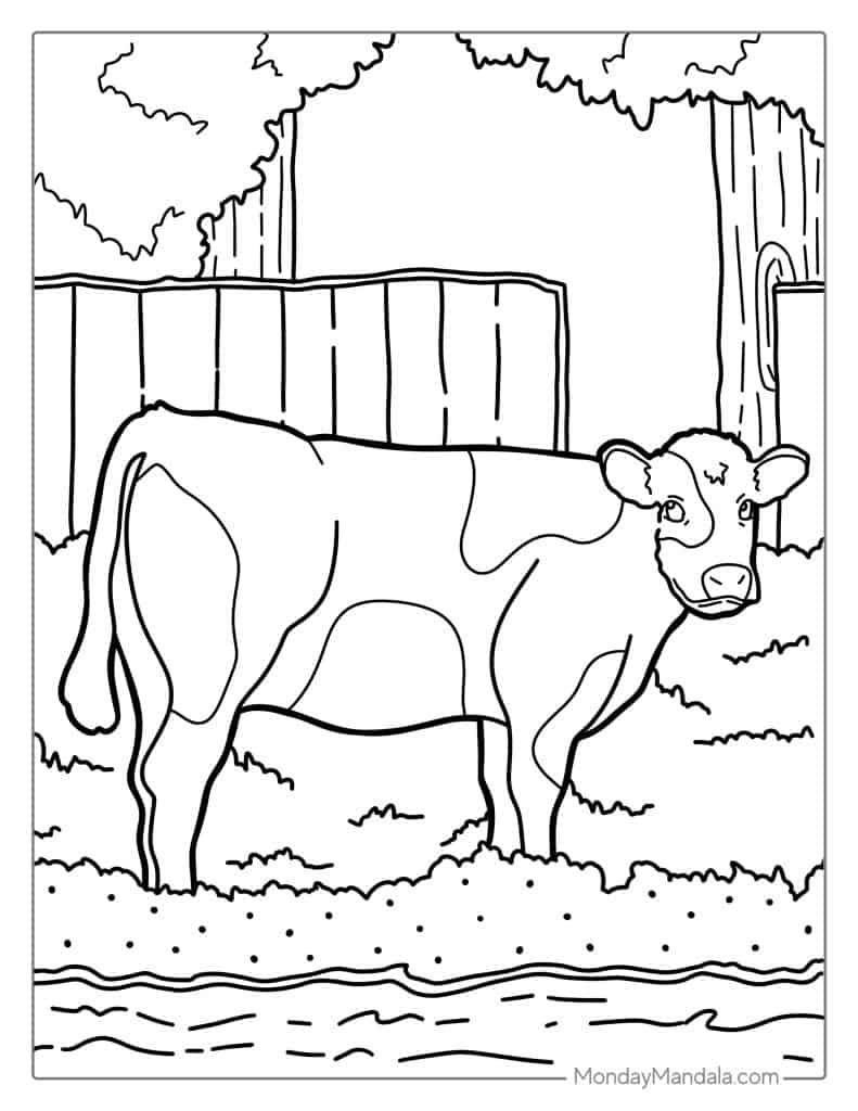 Cow coloring pages free pdf printables