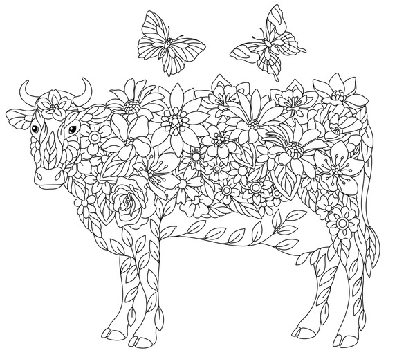 Adult coloring pages cows images stock photos d objects vectors