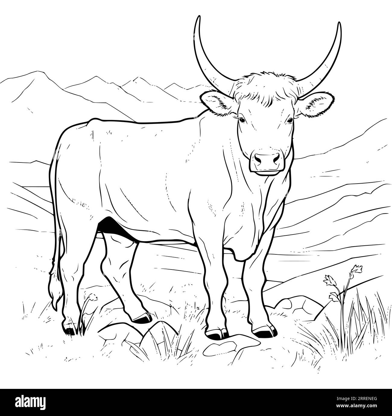 Cattle coloring pages hi