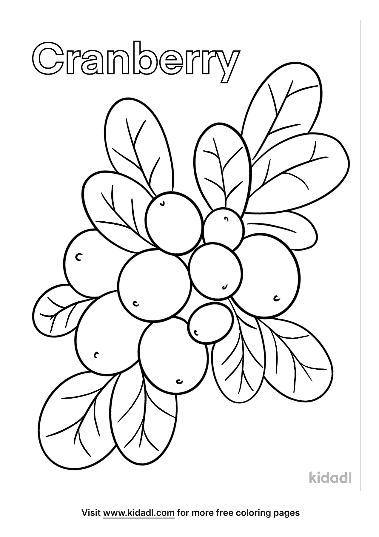 Free cranberry coloring page coloring page printables