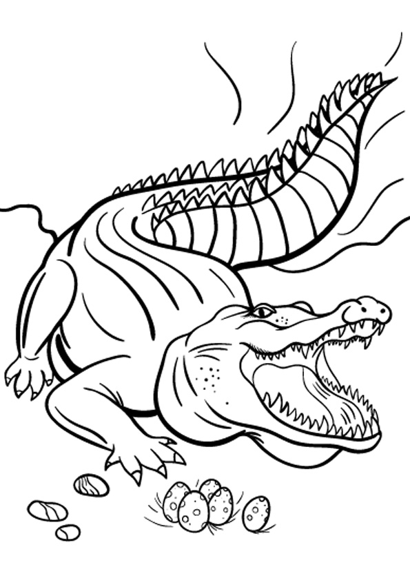 Coloring pages free crocodile coloring page for kids