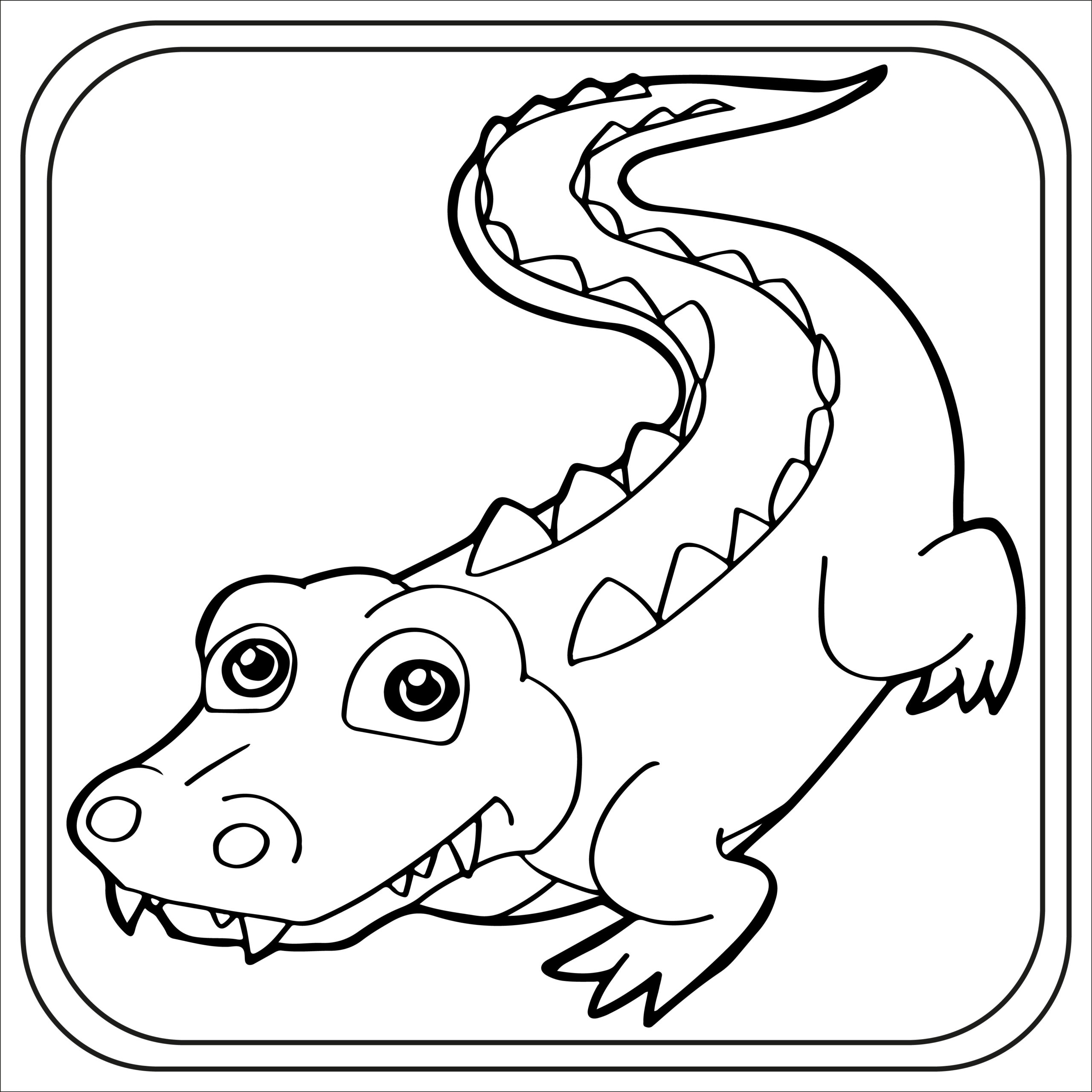 Crocodile coloring pages preschool kindergarten first grade made by teachers