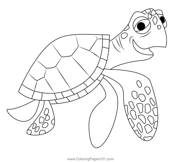 Crush the turtle coloring page turtle coloring pages nemo coloring pages finding nemo coloring pages