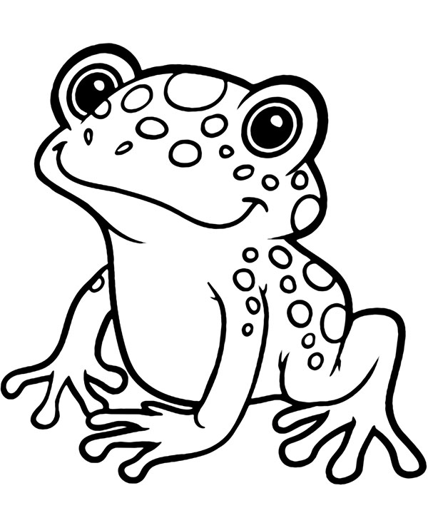 Tropical frog coloring page sheet