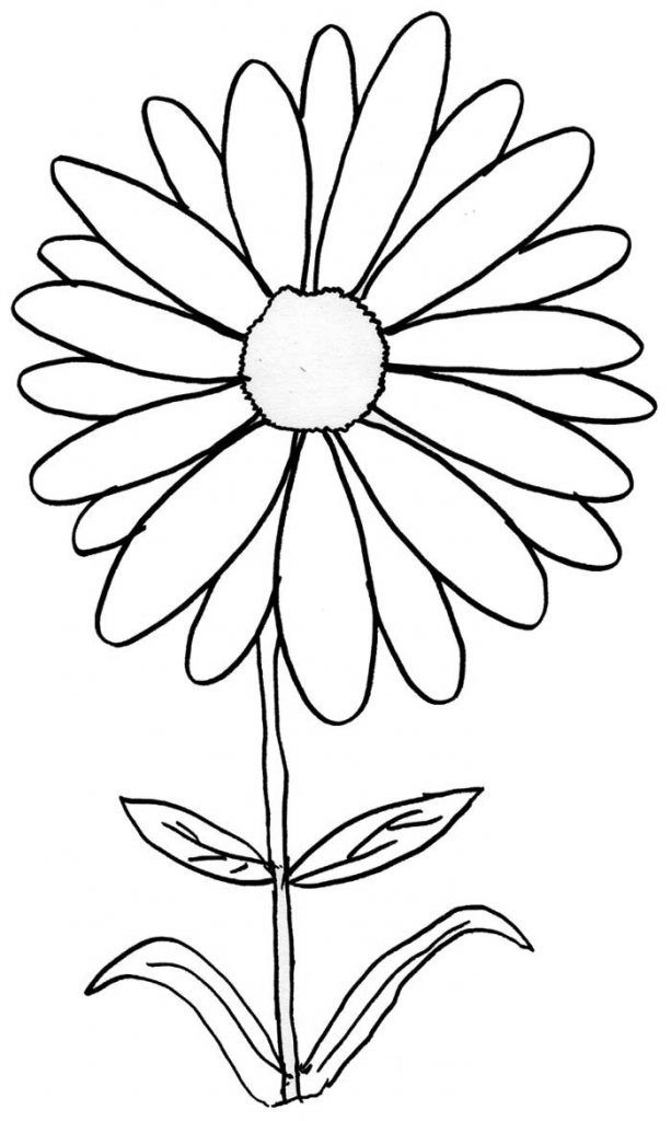 Daisy coloring pages