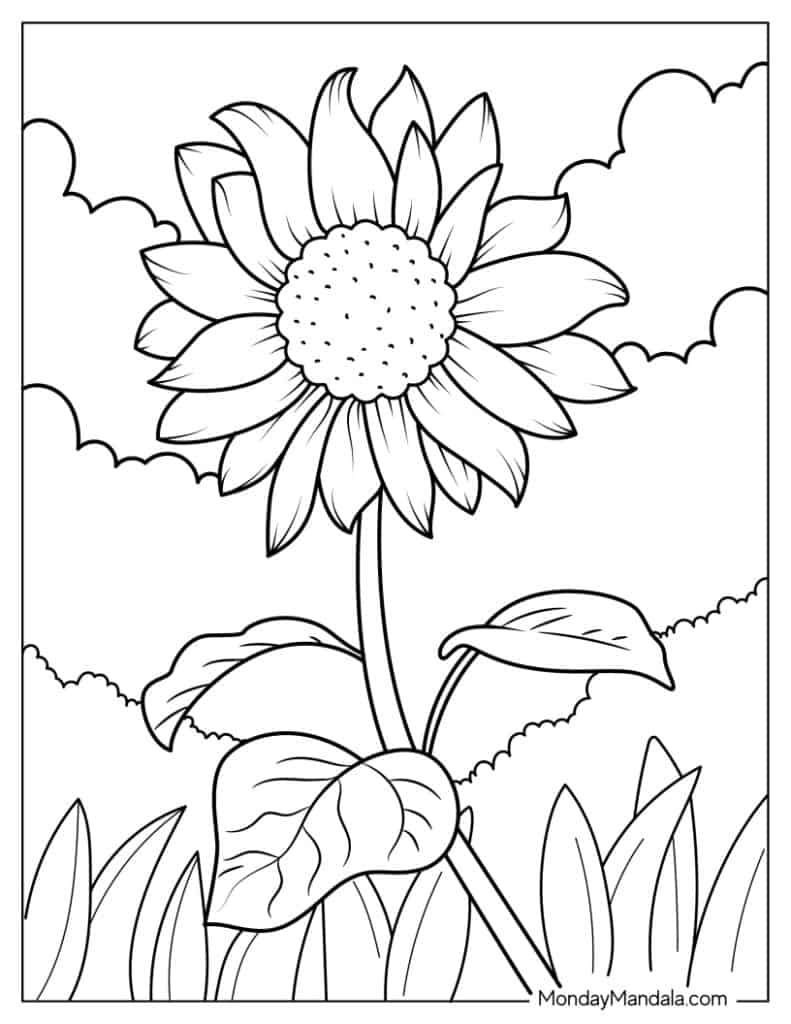 Daisy coloring pages free pdf printables