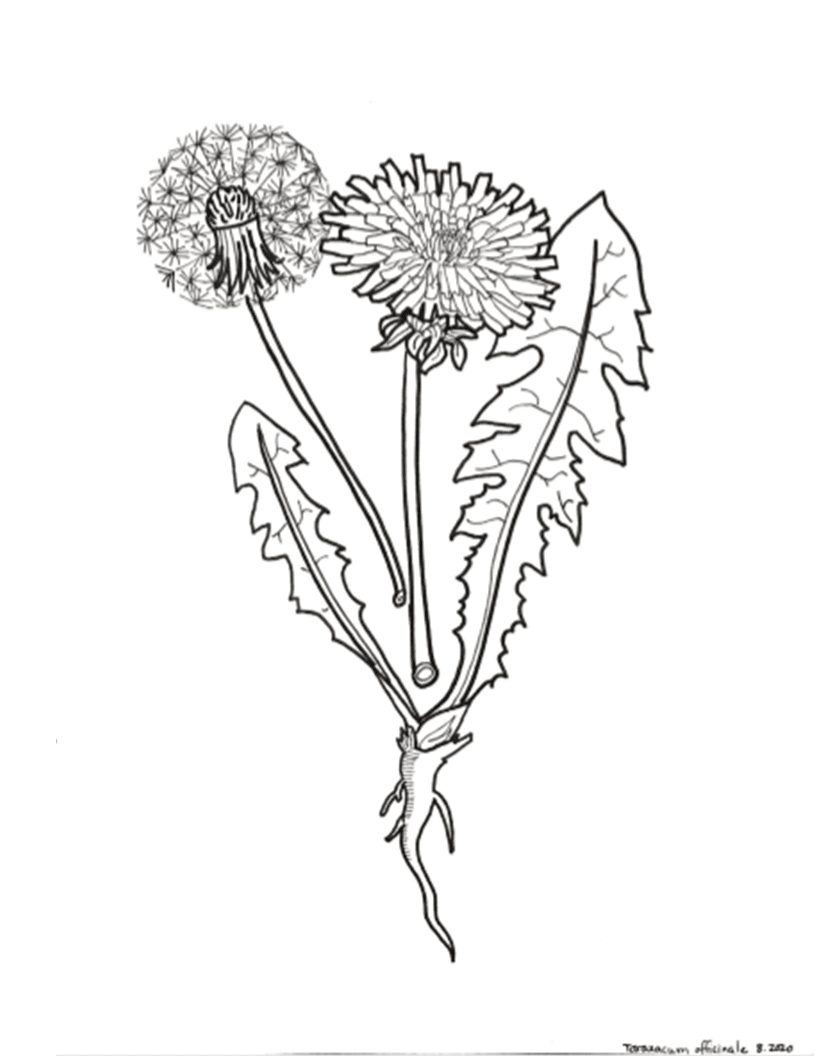 Scientist takeover coloring page plants