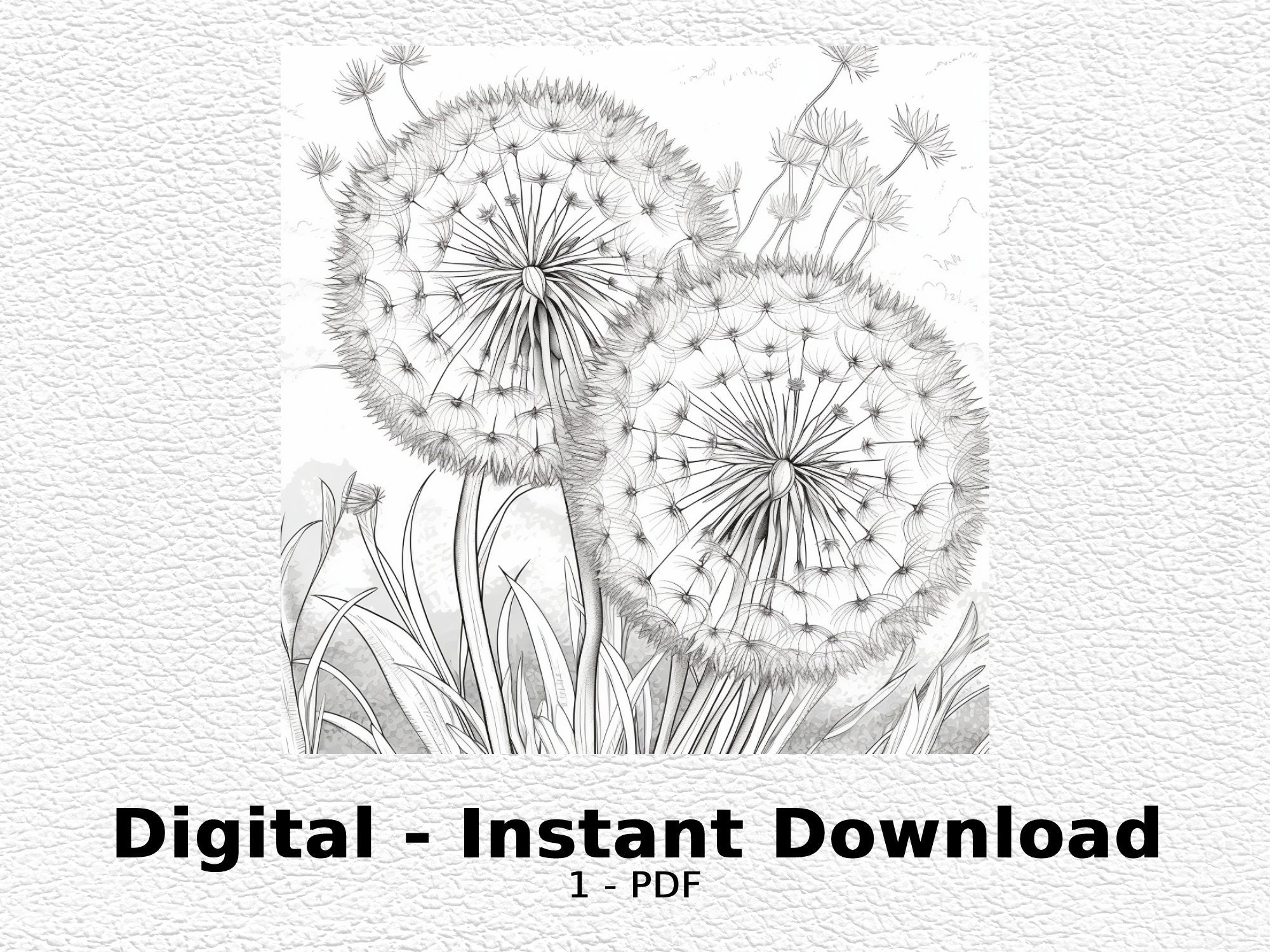 Dandelion wishes coloring page digital printable coloring page dandelion wishes coloring pag coloring page for adult printable