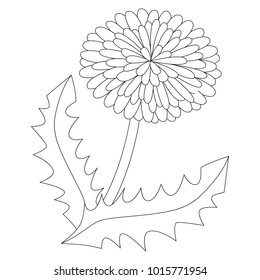 Yellow dandelion flower cartoon outlined colorless stock vector royalty free