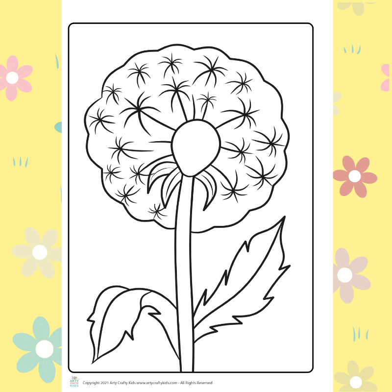 Dandelion clock coloring page