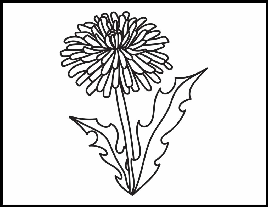 Dandelion coloring pages roaring spork