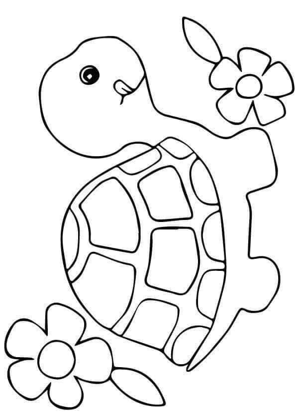 Tareitas tortuga turtle coloring pages flower coloring pages coloring pages