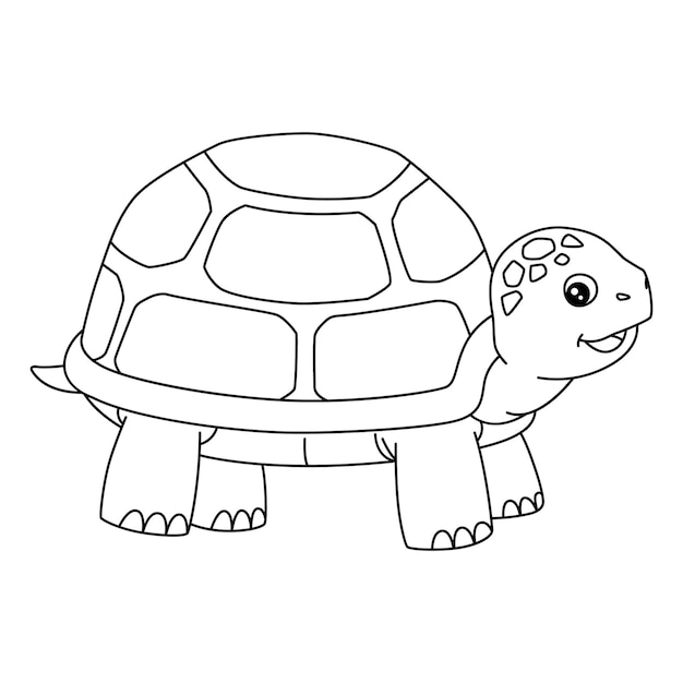 Premium vector turtle coloring page isolated for kids