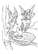 Disney fairies coloring pages free coloring pages