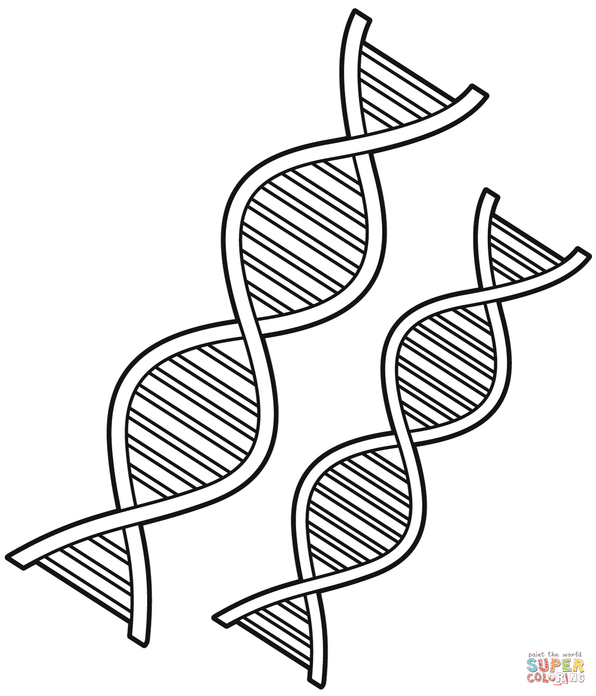 Dna coloring page free printable coloring pages