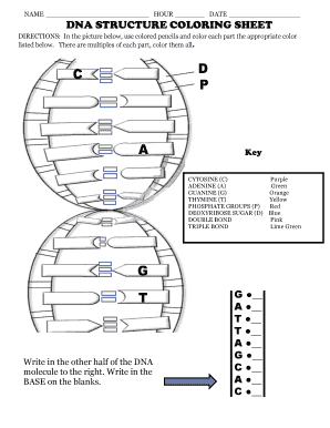 Dna coloring form