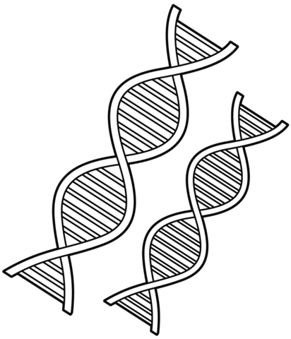 Dna coloring page free printable coloring pages