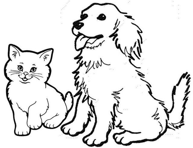 Eight adorable dog and cat coloring pages for pet lovers cat coloring page dog coloring page dog cat