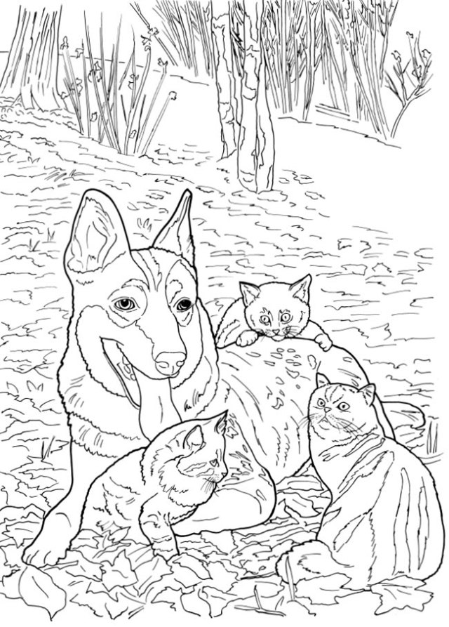 Cats and dogs coloring pages â